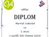 Diplom